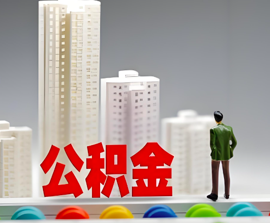 白山委托他人办理需要提供什么证件。